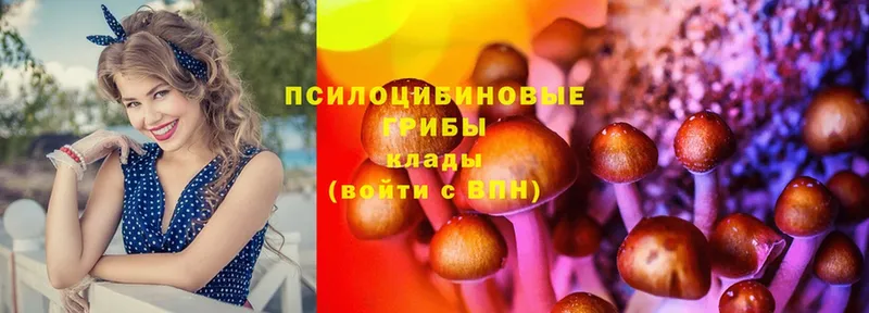 Псилоцибиновые грибы MAGIC MUSHROOMS  мега зеркало  Заводоуковск 